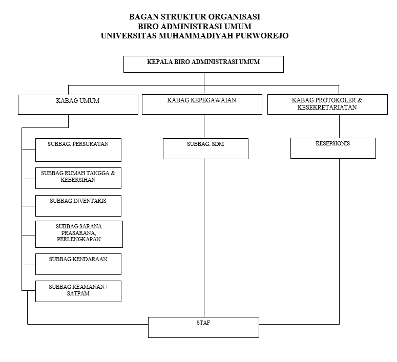 Struktur Organisasi BSDM